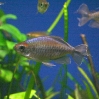 vivarium 009.jpg